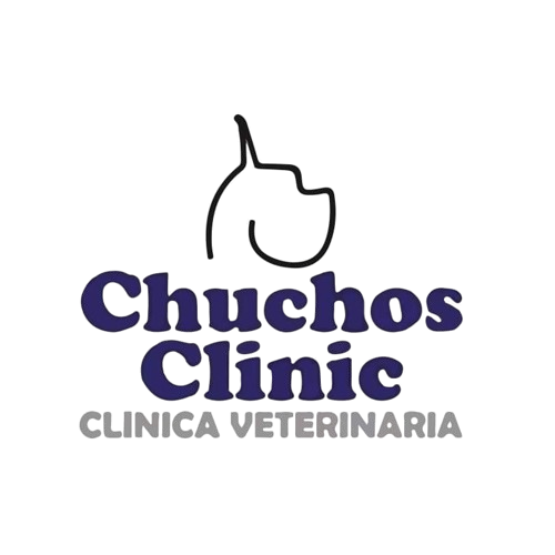 Chuchos Clinic